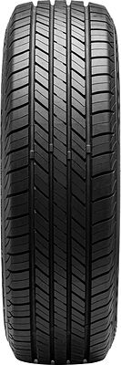 Venom Power Grand AM